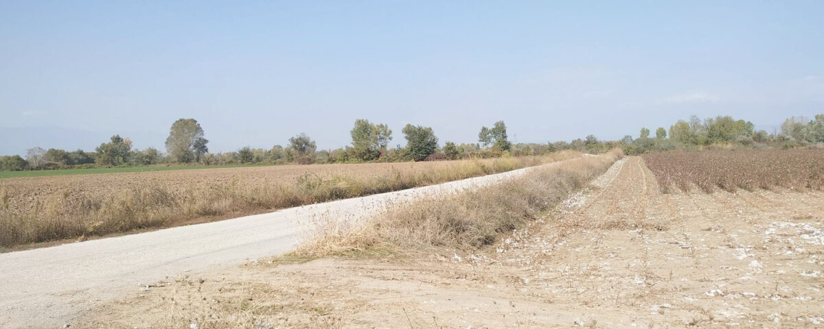 ΕΠΙΚΑΙΡΟΤΗΤΑ ΚΑΡΔΙΤΣΑΣ